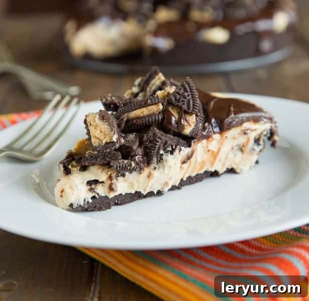 Rich No Bake Peanut Butter Cheesecake, topped with chocolate shavings and a peanut butter drizzle.