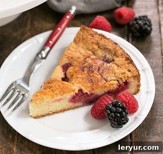 Savor our delightful summer torte, featuring a exquisite mixture of fresh, ripe berries baked into a simple yet satisfying cake. A slice of Mixed Berry Torte on a dessert plate, accompanied by a fork and fresh berries, showcasing a delightful blend of fruits.