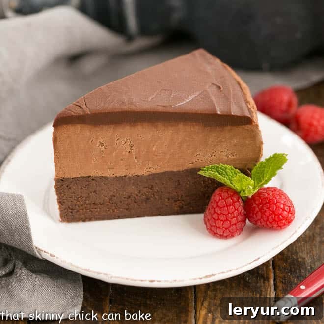 Frozen Chocolate Mousse Cake, a slice revealing three distinct layers of rich chocolate mousse.