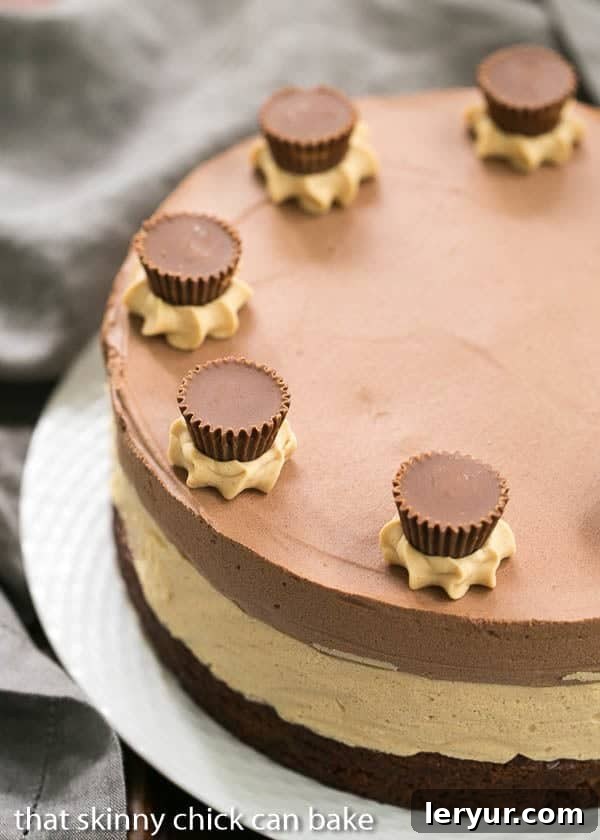 The finished Peanut Butter Chocolate Mousse Cake sitting on a elegant basket-weave serving plate, showcasing its pristine layers and smooth, inviting texture.