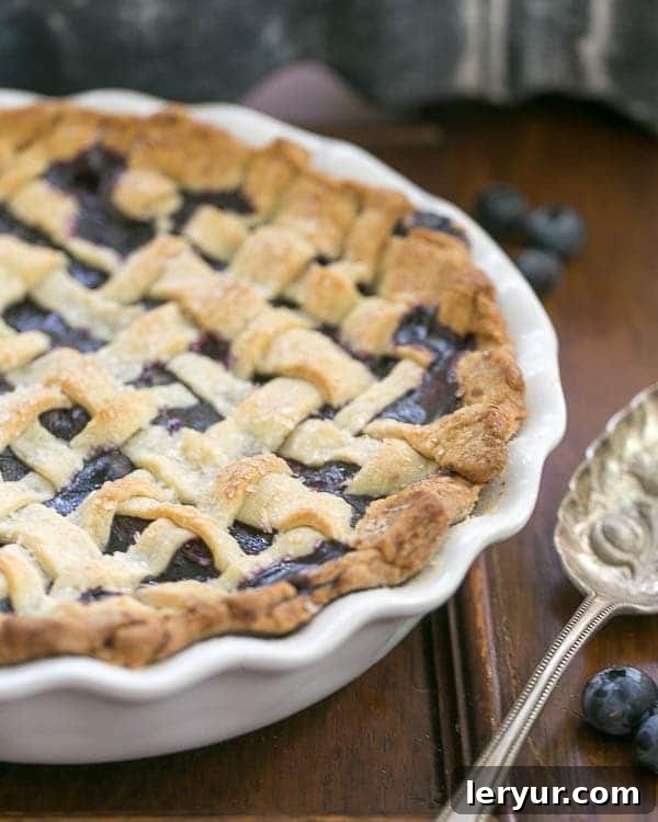Freezer-to-Oven Blueberry Pie 2 Freeze and Bake Blueberry Pie | Make an extra pie for the freezer and bake later!