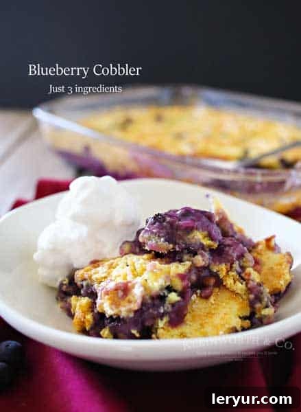3-Ingredient Blueberry Cobbler
