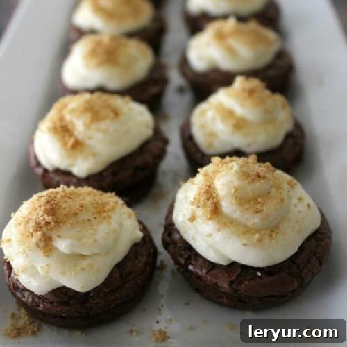 Mini S'mores Brownie Bites & Poppers