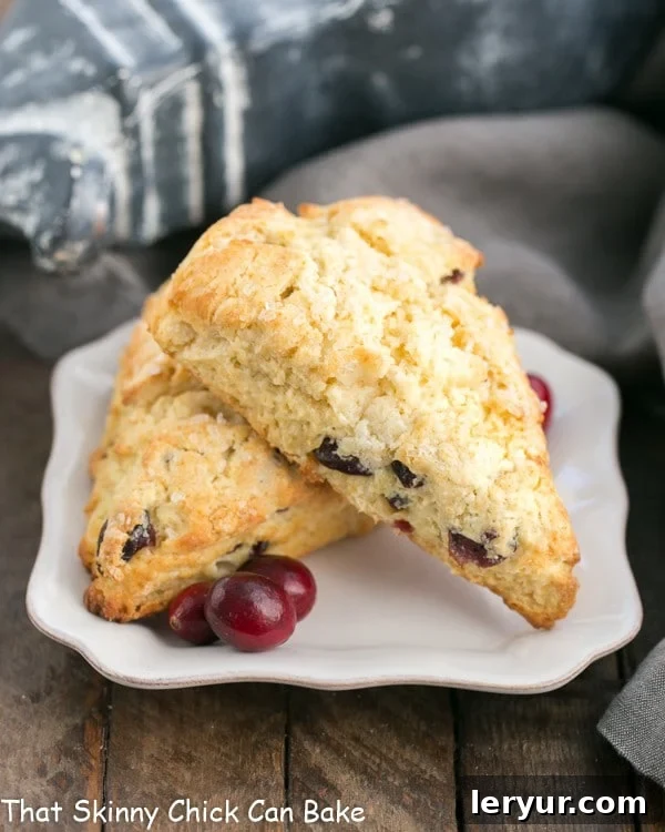 Cranberry Eggnog Scones - Moist, tender, scrumptious and spiked with eggnog! Perfectly baked Cranberry Eggnog Scones arranged on a square white plate, ready to be served for a festive occasion.