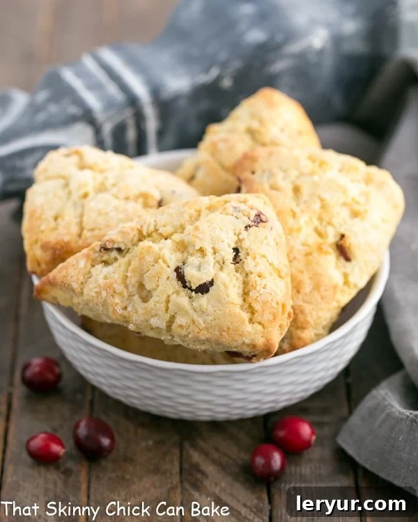 Cranberry Eggnog Scones - Moist, tender, scrumptious and spiked with eggnog! A white ceramic bowl filled with freshly baked Cranberry Eggnog Scones, highlighting their golden-brown tops and cranberry specks.