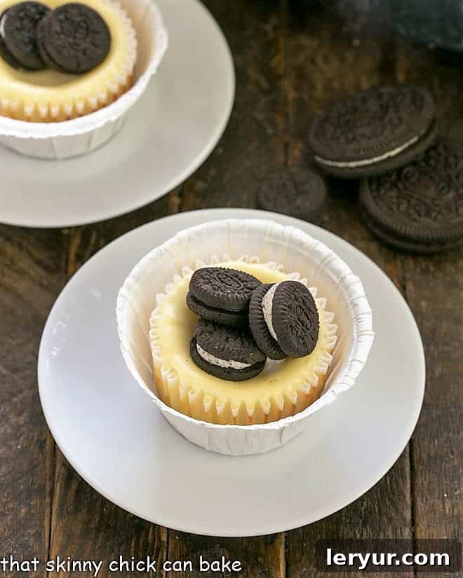 Two perfectly baked Mini Oreo Cheesecakes displayed on small white plates, highlighting their individual appeal and inviting texture.