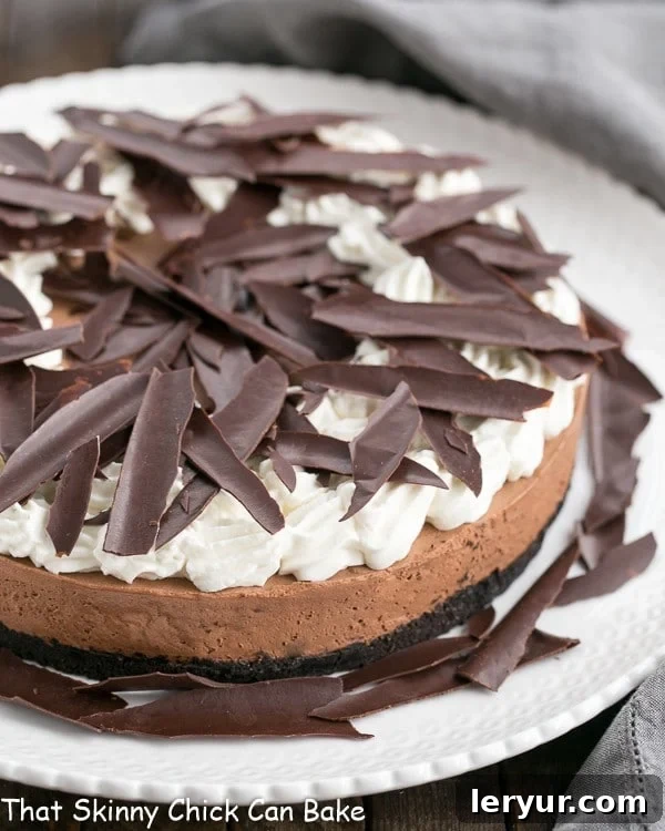 Exquisite chocolate shards artfully arranged on top of a decadent chocolate mousse cake, enhancing its visual appeal and adding texture.