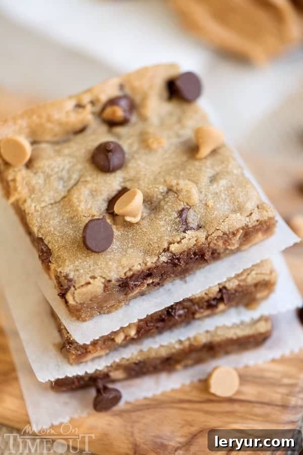 Peanut Butter Chocolate Chip Brownies