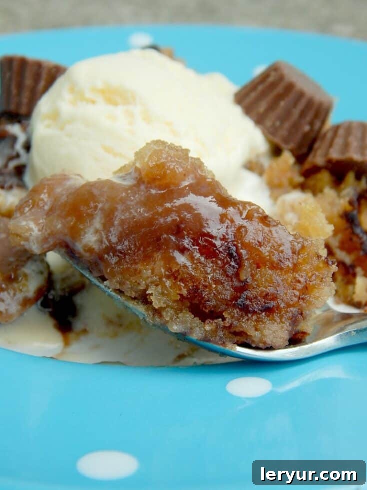 Crock Pot Peanut Butter Fudge Cake