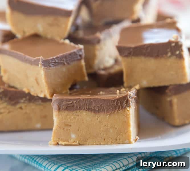 Reese's Fudge