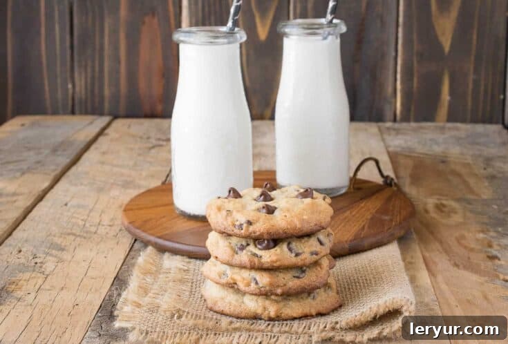 Peanut Butter Chocolate Chip Cookies