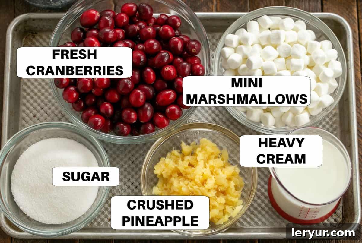 Clearly labeled ingredients for Cranberry Fluff Salad arranged on a metal baking sheet, showcasing fresh cranberries, sugar, crushed pineapple, mini marshmallows, and heavy cream.