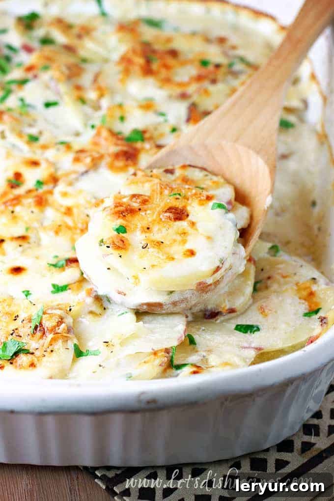 Creamy parmesan scalloped potatoes in a baking dish.