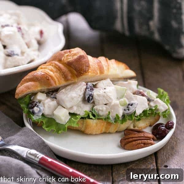 The Best Chicken Salad Sandwich Recipe with Craisins, celery and pecans on a buttery croissant Close-up of Cranberry Pecan Chicken Salad on a croissant, presented on a small white plate.