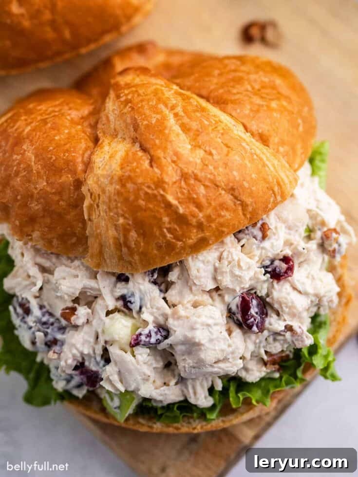 Best Chicken Salad, featuring tender chicken, cranberries, apples, and pecans in a creamy dressing.