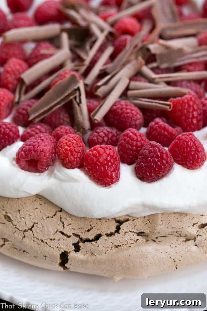 Close-up of the delicate edge of a Chocolate Raspberry Pavlova, showing the crisp meringue texture and generous chocolate shavings.