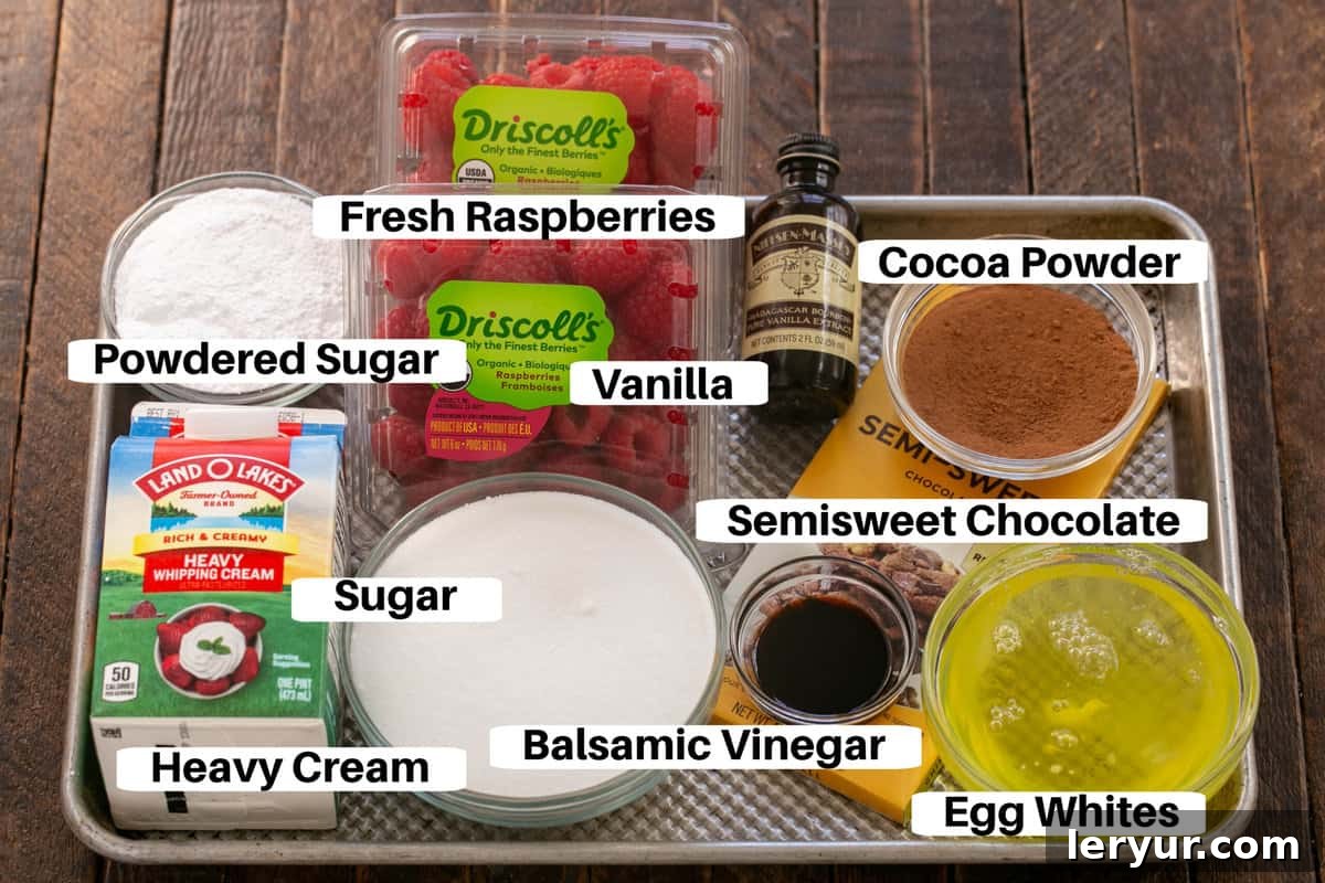 Carefully laid out ingredients for Chocolate Pavlova, including egg whites, sugar, cocoa powder, chocolate, and vinegar, on a metal baking sheet.