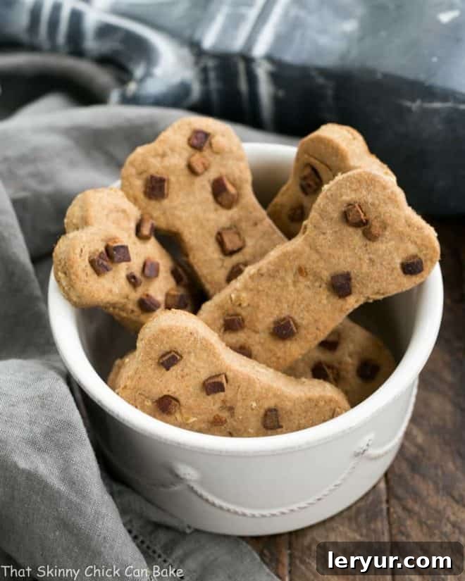 Close-up of freshly baked peanut butter dog bone treats beautifully arranged in a white dog bowl, glistening and inviting, ready for a discerning canine palate.