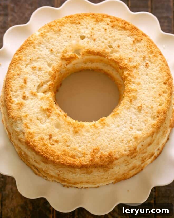 The top layer of angel food cake being placed back onto the mousse-filled cake, ready for frosting.