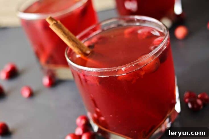 Warm and Spiced Crock Pot Cranberry Cider