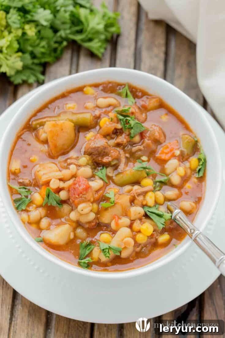 Hearty Slow Cooker Beef and Vegetable Soup
