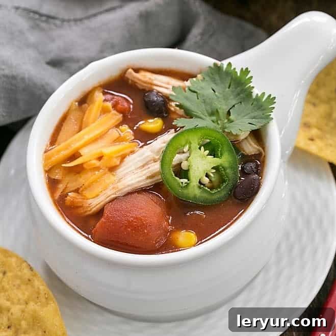 Comforting Slow Cooker Chicken Enchilada Soup