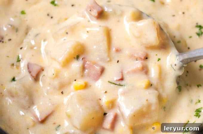 Comforting Slow Cooker Cheesy Ham Chowder