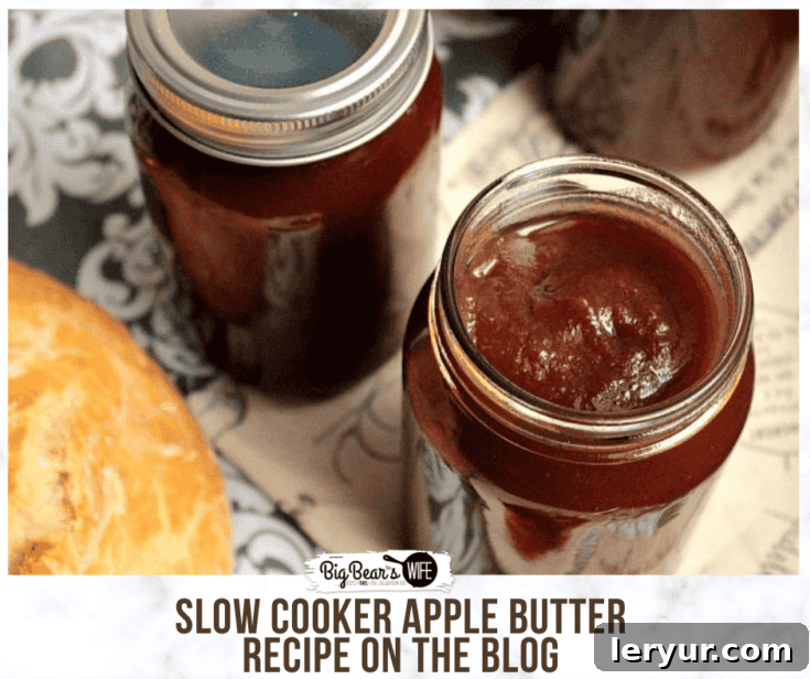 Homemade Slow Cooker Apple Butter