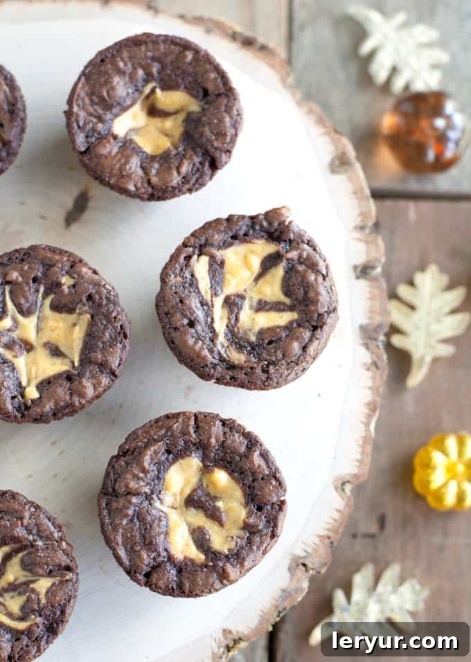 Pumpkin Cheesecake Brownie Bites arranged on a serving plate, showing their cheesecake swirl.