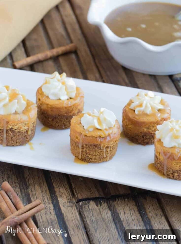 Mini Pumpkin Cheesecakes topped with whipped cream and a sprinkle of cinnamon.