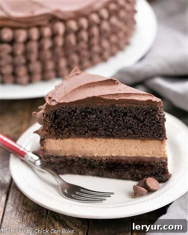 A cross-section of the chocolate layer cake with a thick, inviting layer of chocolate cheesecake between.