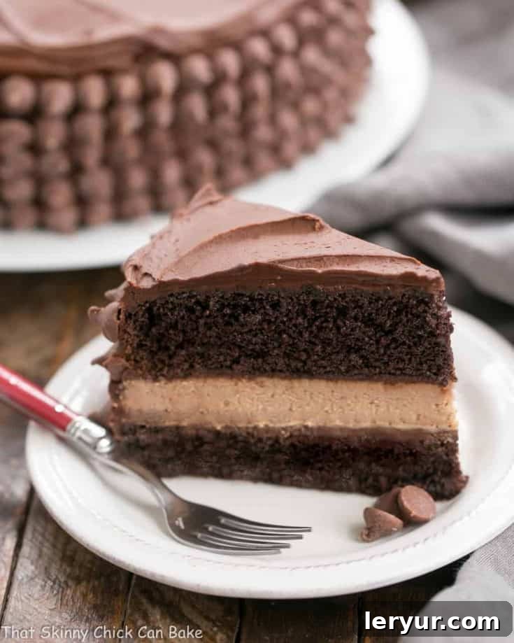 Candy Bar Cheesecake | A sublime combination of a rich chocolate layer cake and milk chocolate cheesecake!