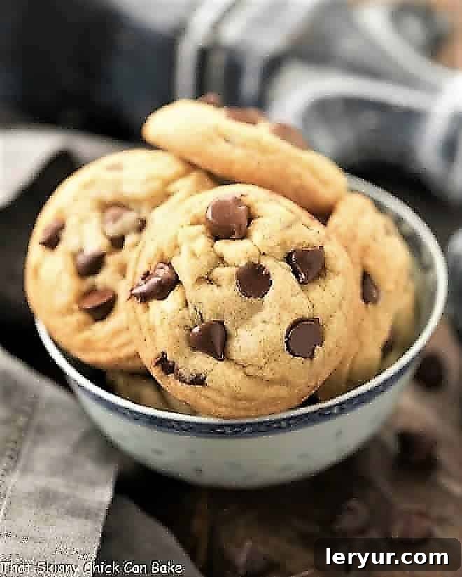A bowl filled with freshly baked Double Chocolate Chip Cookies, showcasing their chewy texture and abundant chocolate chips.
