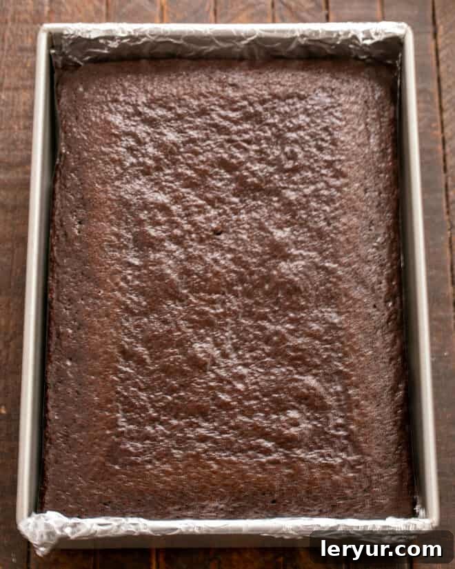 Velvet Night Snack Cakes 8 The freshly baked Black Magic Snack Cake resting in its pan, perfectly risen and ready to cool before frosting.