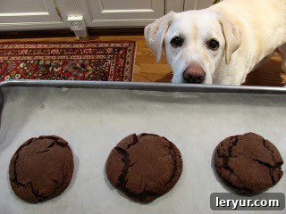 Close-up of a Rolo cookie, showing the chocolate dough