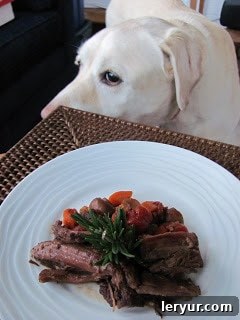 Pot Roast with Mushrooms, Tomatoes & Red Wine - This is one unforgettable pot roast with an amazing depth of flavor! Yellow lab eyeing this Pot Roast with Mushrooms, Tomatoes & Red Wine on a white plate