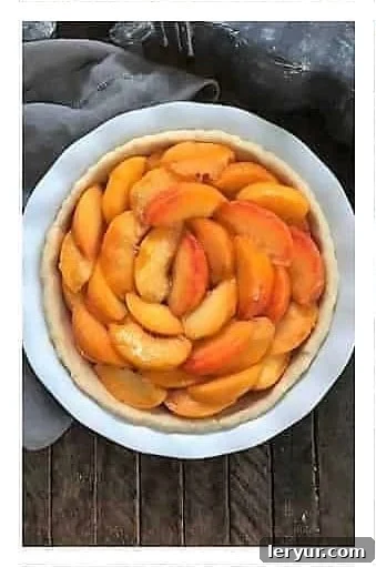 Peach Crumb Pie Step 3: Arranging the sliced peaches over the crumb base.
