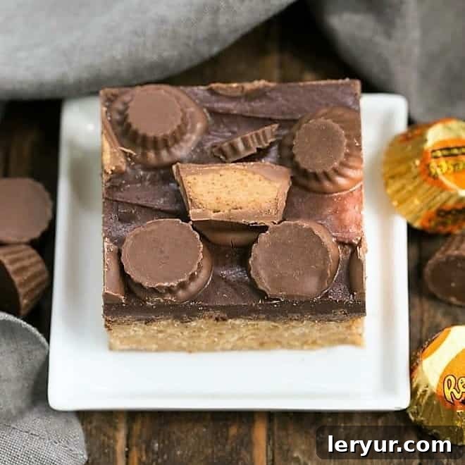 Classic Peanut Butter Rice Krispie Treats - A retro no-bake bar cookie for lovers of the chocolate peanut butter combination!