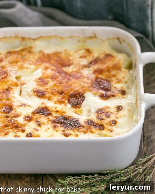 Classic Creamy French Potato Gratin 2 A large ceramic casserole dish filled with baked French Potato Gratin, golden and bubbling, fresh out of the oven.