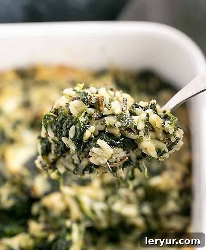 A spoonful of cooked cheesy spinach rice casserole being served from the dish.