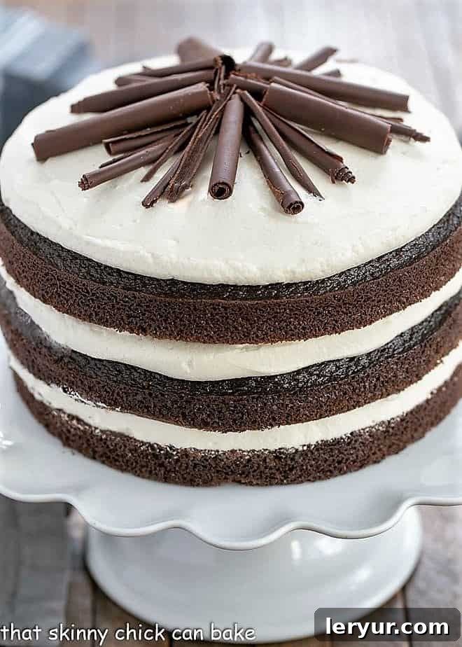 Experience the delight of this Triple Layer Chocolate Cake, with intensified coffee-infused chocolate and a smooth, decadent cream cheese whipped cream frosting. A close-up view of the majestic Triple Layer Chocolate Cake on a pristine white ceramic cake stand, highlighting its rich texture and elegant presentation.