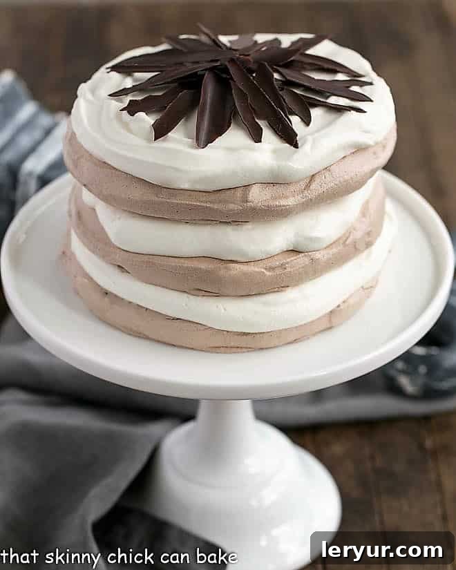 Side view of an elegantly Layered Chocolate Meringue Cake on a pristine white cake stand, showcasing its three distinct cocoa pavlova layers, fluffy whipped cream, and chocolate shard garnish.