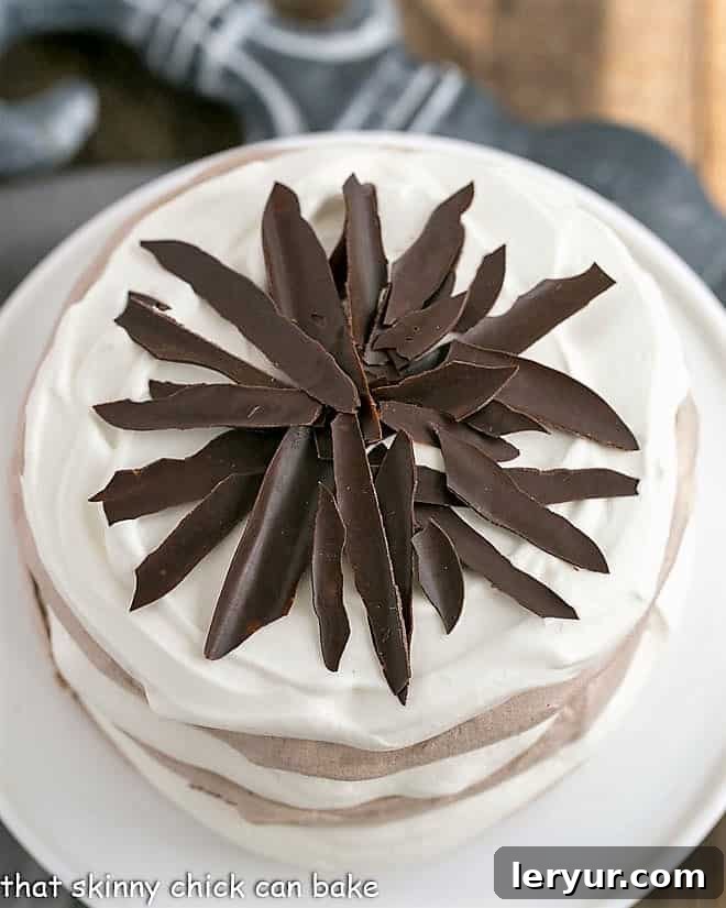 Overhead view of the opulent Layered Chocolate Meringue Cake, highlighting the meticulous stacking of pavlova layers and the artistry of the chocolate shard garnish.