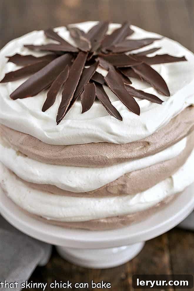 A close-up view of the majestic layered chocolate meringue cake, highlighting the delicate textures of the pavlova and the rich whipped cream.