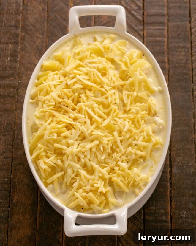 The Only Scalloped Potatoes You'll Ever Need 5 Potato mixture transferred to a baking dish, topped with shredded cheeses.