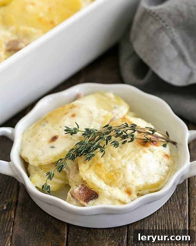 The Only Scalloped Potatoes You'll Ever Need 6 Baked scalloped potatoes, golden brown and bubbly, fresh out of the oven.