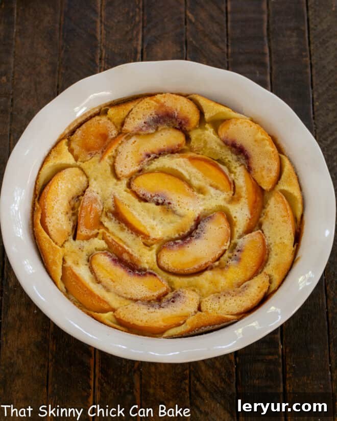 A freshly baked Fresh Peach Clafoutis, still warm and puffed, in a white ceramic dish, ready for dusting with powdered sugar.