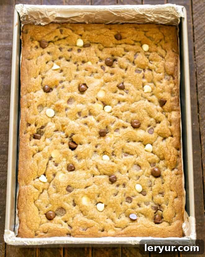 A freshly placed pan of unbaked chocolate chip cookie dough, meticulously spread and ready to be put into the preheated oven.