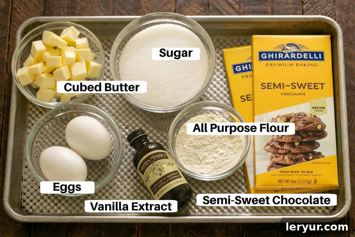 David Lebovitz Ultimate Fudgy Brownies 2 Fudgy brownies ingredients with labels on a sheet pan.