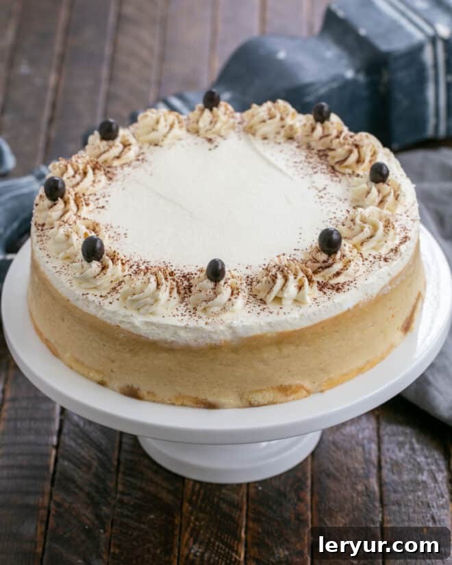 Tiramisu cheesecake - with coffee soaked ladyfingers, coffee flavored cheesecake and a luscious mascarpone topping, this is one dreamy layered dessert! Tiramisu Cheesecake on a white ceramic cake stand, showcasing its beautiful layers.
